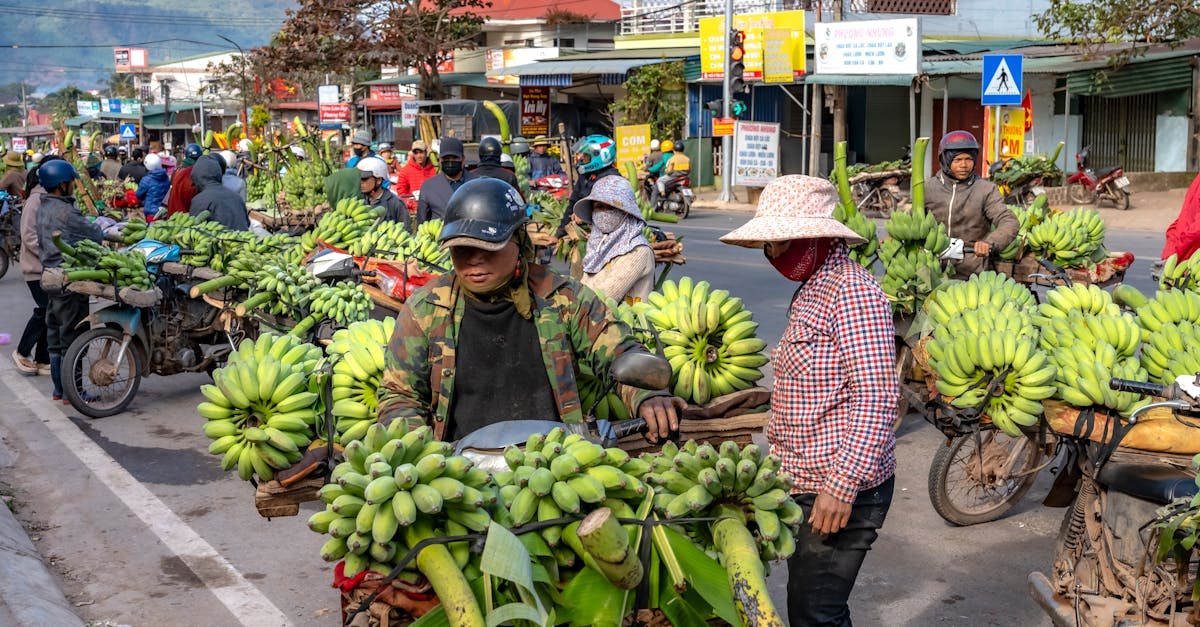 protégez votre passion avec notre assurance moto. bénéficiez de garanties adaptées à vos besoins, d'une couverture complète et de tarifs compétitifs. roulez en toute tranquillité, où que la route vous mène.